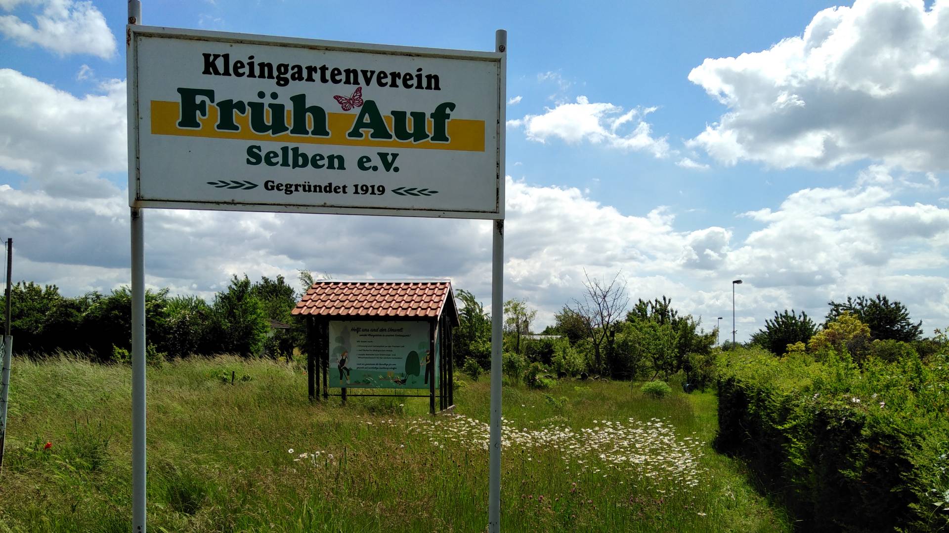 Bild zu Projekt Artenvielfalt: Neues von der Wiese in Selben. Vom Fachberater zum Artenschützer im Verein